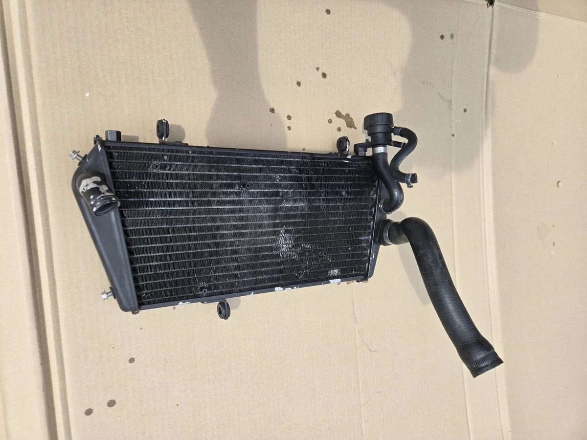 Originele onderdelen voor Aprilia Shiver 900