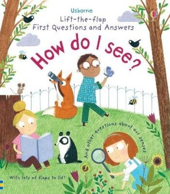 Katie Daynes First Questions and Answers: How do I see? (Board Book) (UK IMPORT)