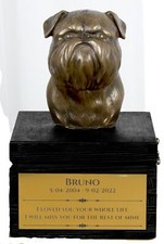 Brussels Griffon Black Letters On The Box Art-Dog