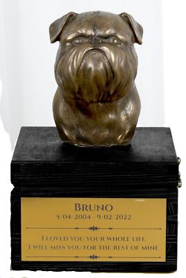 Brussels Griffon Black Letters On The Box Art-Dog