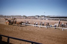 1950s Kodachrome Red Border Rodeo Chuckwagon Race Cowboys Horses