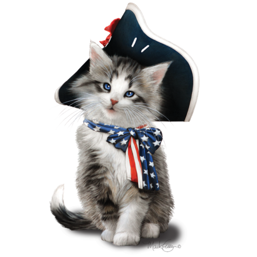 American Flag Shirt, Cat with Flag Bow & Hat, Patriotic, 4th of July, Small - 5X - Picture 1 of 2