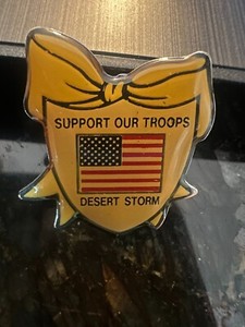 USA Desert Storm Pin