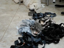 8 full body harnesses