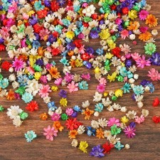Mini Dried Flowers for Resin, Small Dried Flowers for Crafts Resin Nails