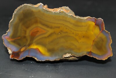 Condor agate collector specimen | eBay
