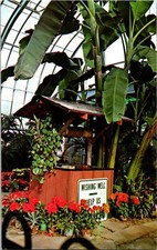 Vintage Postcard Birmingham Alabama Botanical Gardens The Wishing Well