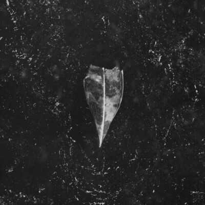 Aion, New Music