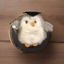 Russ Berrie Itty Bitties Graduation Owl Gray Plush Stuffed Toy Cap Diploma 3.5"