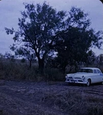 R135 TX Texas Snyder Mesquite Tree Scurry County Realist 3D Stereo Slide Photo