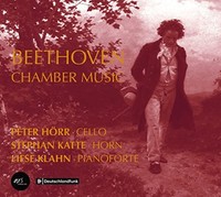 Peter Horr - Beethoven Chamber Music - Cd - G4Z