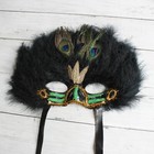 Masquerade Face Mask Peacock Feather Venetian Mardi Gras Halloween Costume Party