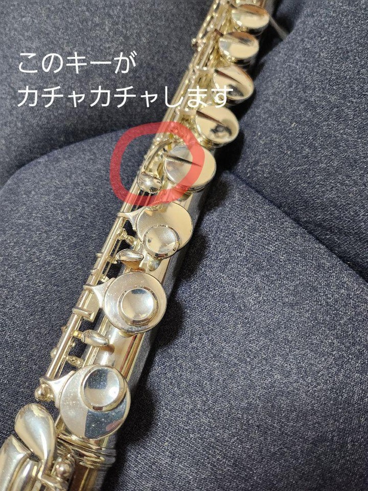Alto Flute eBay