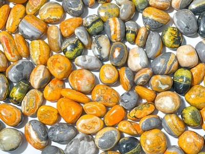 Bumble Bee Jasper Tumbled Stones