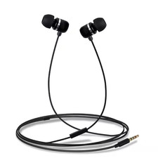 Metal Earphones with Mic