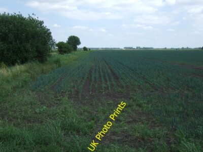 Photo 6x4 Crop field beside drain Little Ouse Off Corkway Drove. c2015