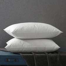 2/4 Pcs Queen Size Goose Down Pillow Ultra Soft Sleeping Pillow Insert 4 Season