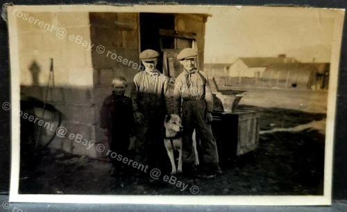 WW2 Iceland - Icelandic Children & Husky Dog ? British Soldiers photo 10 by 8cm