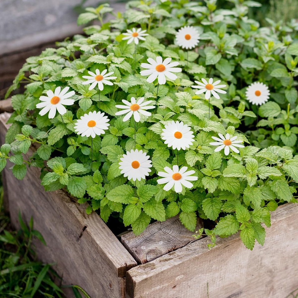 Daisy Garden Stakes,10Pcs Daisy Yard Art Decor Outdoor Flower Stick