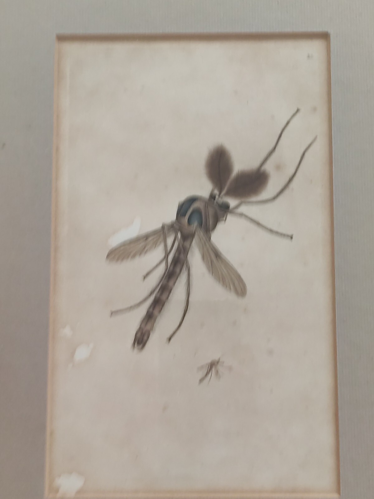 Picture 18 of 22