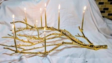 West Elm Manzanita Branch Candelabra GOLD  24" X 14' X 7.5" Wowza