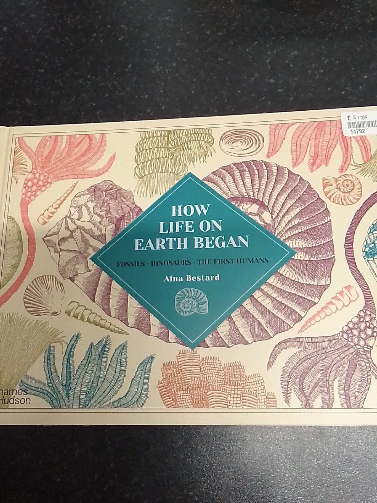 Aina Bestard How Life on Earth Began (Hardback)
