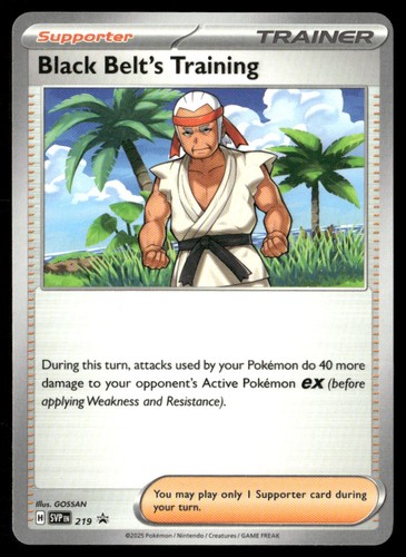 Black Belt's Training 219 SV Scarlet & Violet Promo Cards P NM Pokémon — English