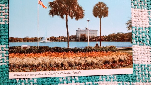 VINTAGE POSTKARTE BLUMEN IM SCHÖNEN ORLANDO FLORIDA. - Bild 6 von 14