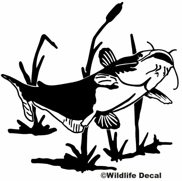 Catfish in Weeds Decal MD Fishing Truck/Boat Window Stickers eBay