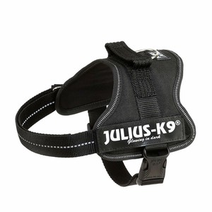 Détails Sur Julius K9 Harnais Gilet Sport Pour Chiens Mini Taille M 7 A 15 Kilos Noir