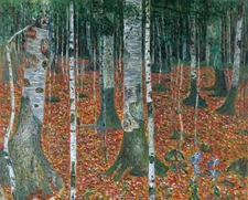 Birch Woods by Gustav Klimt ART Home Decor