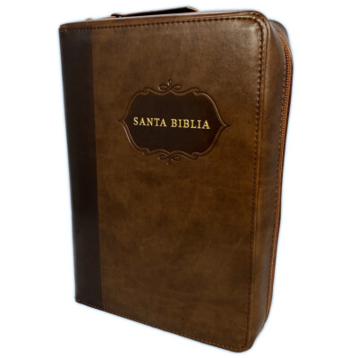 Biblia Letra Grande con Forro Organizador Indice RV1960 cafe My Organizer Bible
