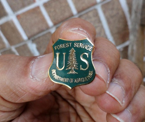 FOREST SERVICE US Department of Agriculture LAPEL PIN BADGE