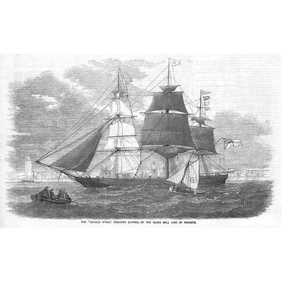 VERSAND The Donald McKay Monster Clipper of Black Ball Line Antique Print 1856