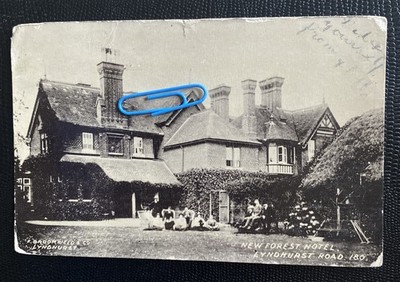 New Forest Hotel, Lyndhurst Road. Animierter Gartenblick. Posted Southampton 1906