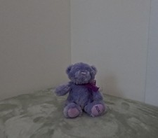 Purple Teddy Bear