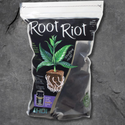 Root Riot Replacement Cubes - 50 Cubes