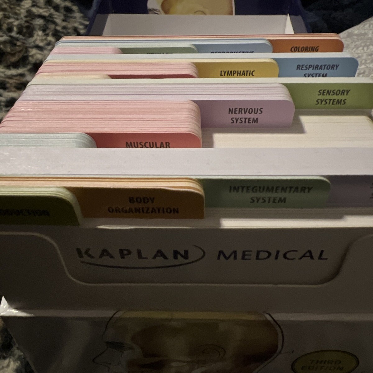 Kaplan Medical Anatomy Flashcards 3rd Edition 310 Labeled