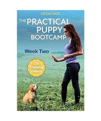 The Practical Puppy Bootcamp: Week Two: Week Two, Jordan Wade