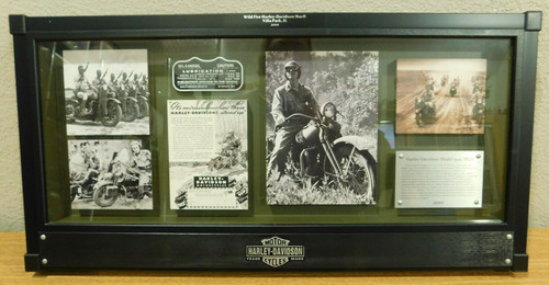 Wildfire Harley Davidson Buell Villa Park IL 2010 Framed Collage 24" Wide .