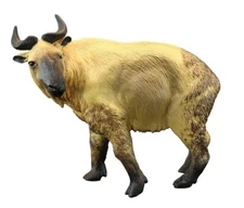 Takin Cattle Goat Animal Toy PVC Action Figure Doll Kids Toys Party Gifts