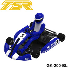 Team Saxo GK-200 1/8 RC Go Kart KIT ARTR blu brushless carrello auto da corsa hobby