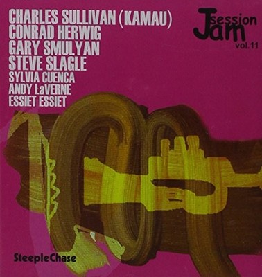 Various Artists Jam Session - Vol. 11 (CD) Album
