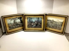 3D FEATHERED BIRD ART IN BOX FRAME LOT OF 3