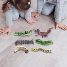 6 Pieces 3D Simulation Models Kids Science Educational Model Decor