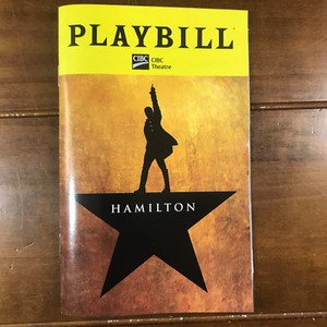 The Hamilton Program The Hamilton Program