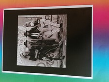 tolles hochglanzbild von poisen