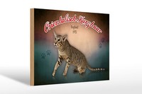 Holzschild Katze 30X20 Cm Orientalisch Kurzhaar England Deko Schild Wooden Sign