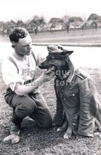 WW2 Picture Photo german shepherd and soldier in military uniform 5988