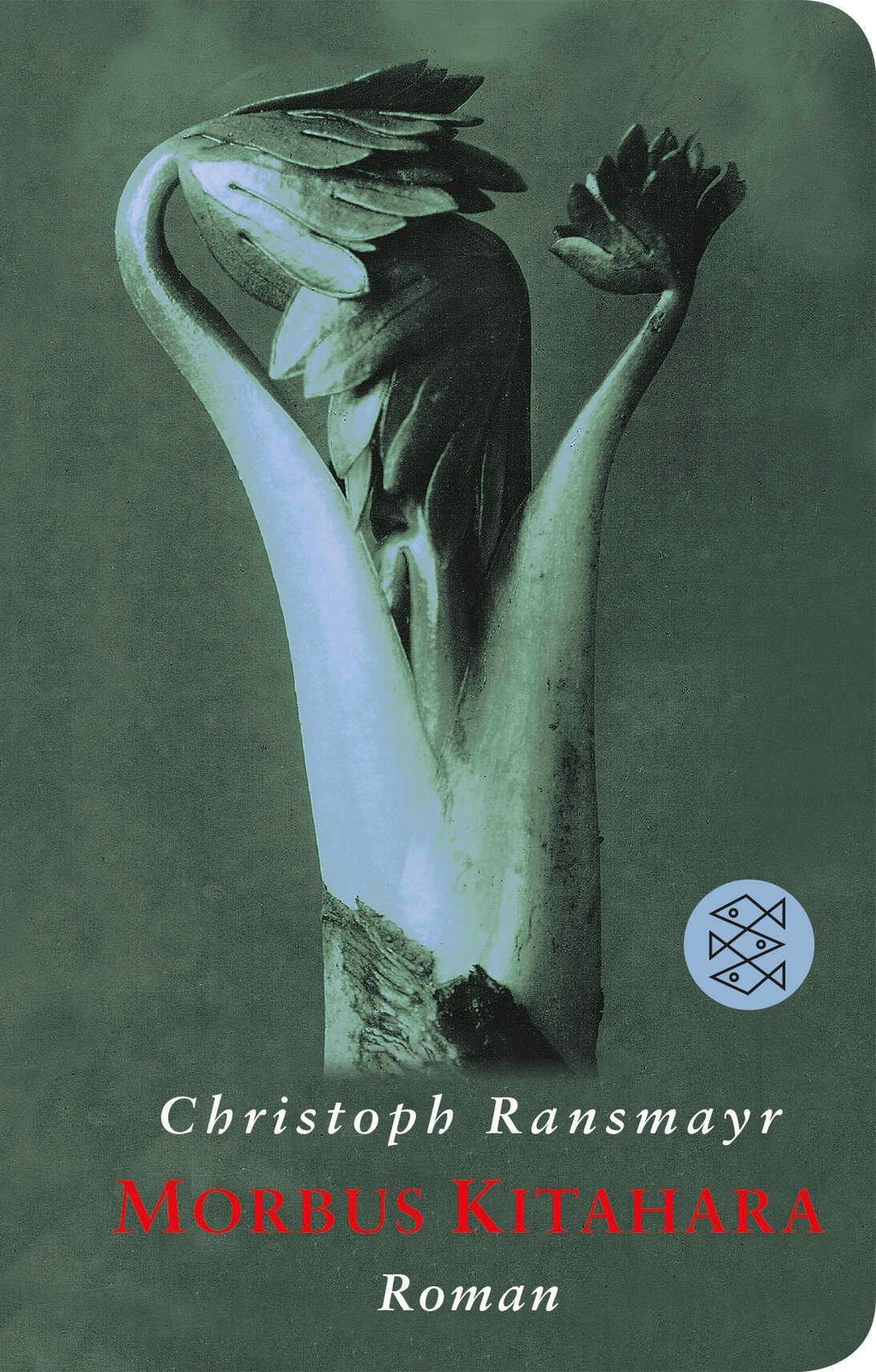 Thumbnail - Morbus Kitahara | Christoph Ransmayr | Buch | Fischer